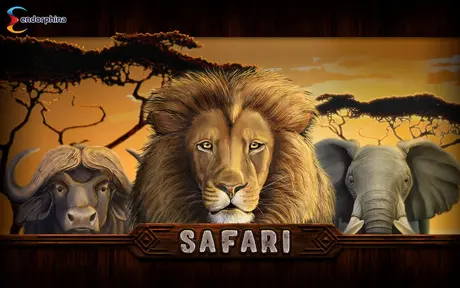 Safari free demo