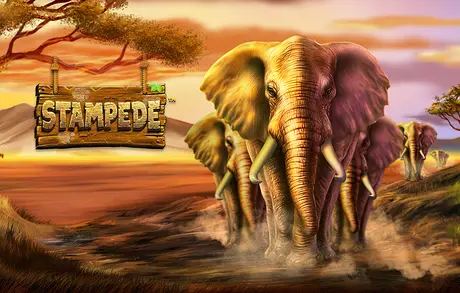Stampede free demo